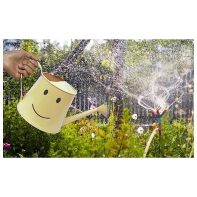 Round Watering Metal Planters Round Watering Metal Planters