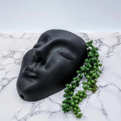 Face Wall Hanging Planter Face Wall Hanging Planter