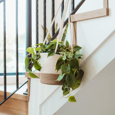 Jute Rope Hanging Basket Jute Rope Hanging Basket